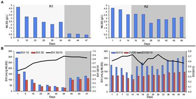 Nitrospira dominant pin-point flocs with granule-like settleability in stirred tank reactors with oxic/hypoxic/oxic zones